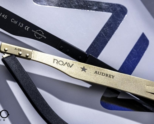 AUDREY-SS002- (9)